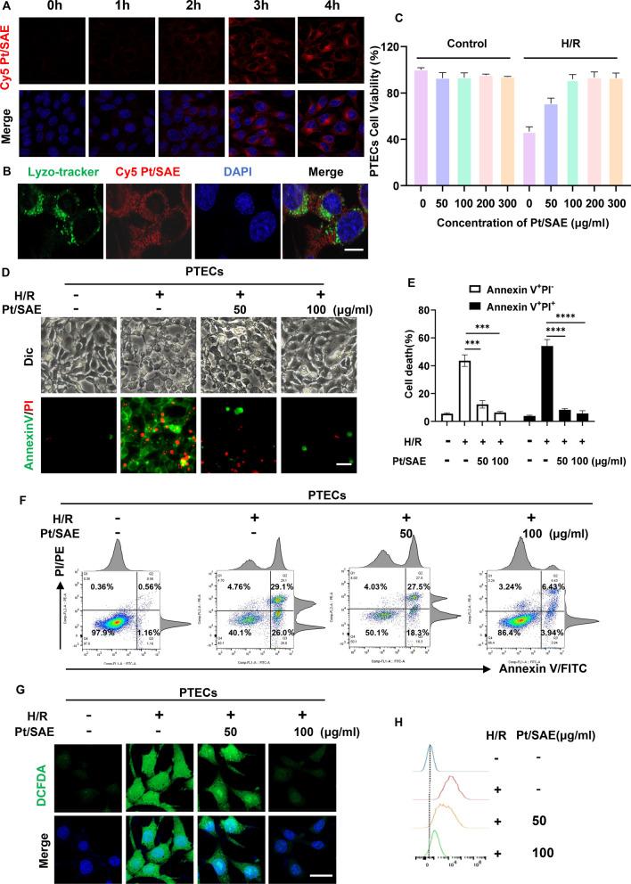 https://cdn.ncbi.nlm.nih.gov/pmc/blobs/e3d6/12034168/d9479d934453/12951_2025_3392_Fig3_HTML.jpg