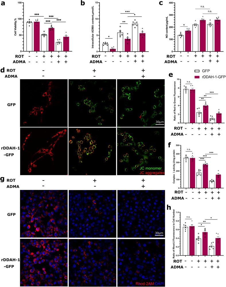https://cdn.ncbi.nlm.nih.gov/pmc/blobs/e3d8/11161642/04b70aeff3a1/41419_2024_6772_Fig5_HTML.jpg