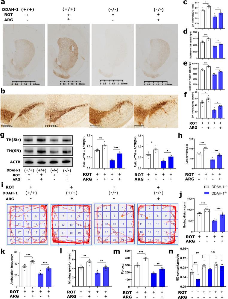 https://cdn.ncbi.nlm.nih.gov/pmc/blobs/e3d8/11161642/229859065b76/41419_2024_6772_Fig3_HTML.jpg