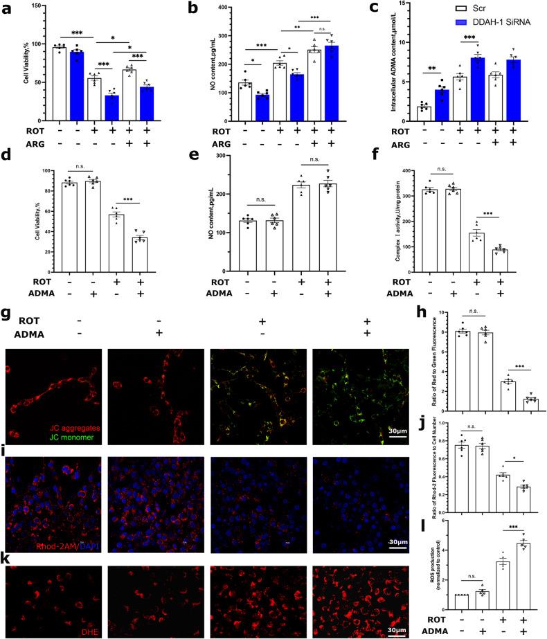 https://cdn.ncbi.nlm.nih.gov/pmc/blobs/e3d8/11161642/eab1658da1f4/41419_2024_6772_Fig4_HTML.jpg