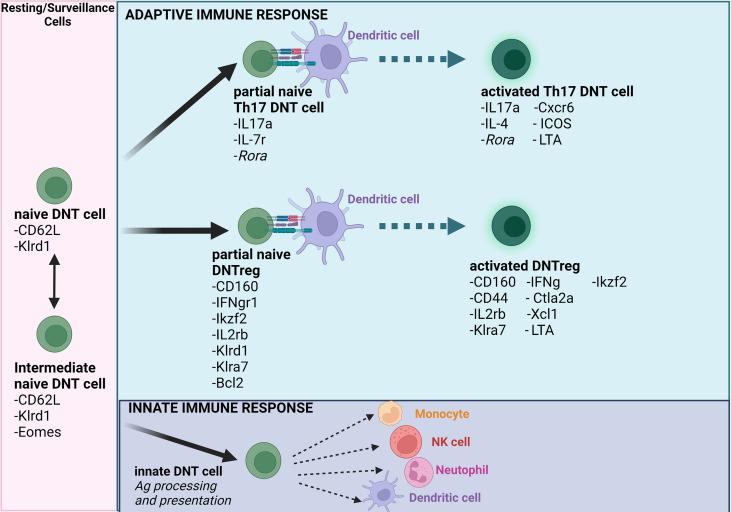 https://cdn.ncbi.nlm.nih.gov/pmc/blobs/e3d9/9283768/3c6a3a581853/fimmu-13-886645-g001.jpg