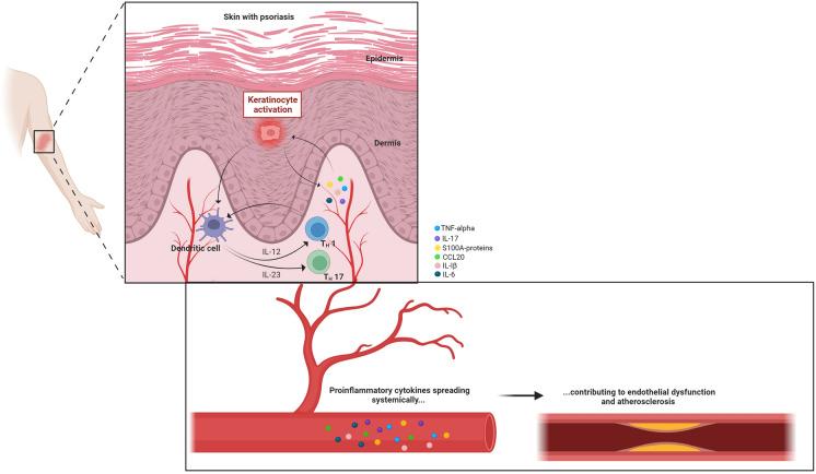 https://cdn.ncbi.nlm.nih.gov/pmc/blobs/e3da/10891014/6d55943fe0e2/13555_2024_1098_Fig1_HTML.jpg
