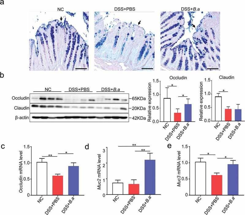 https://cdn.ncbi.nlm.nih.gov/pmc/blobs/e3db/7889144/6819c4281864/KGMI_A_1826746_F0003_OC.jpg