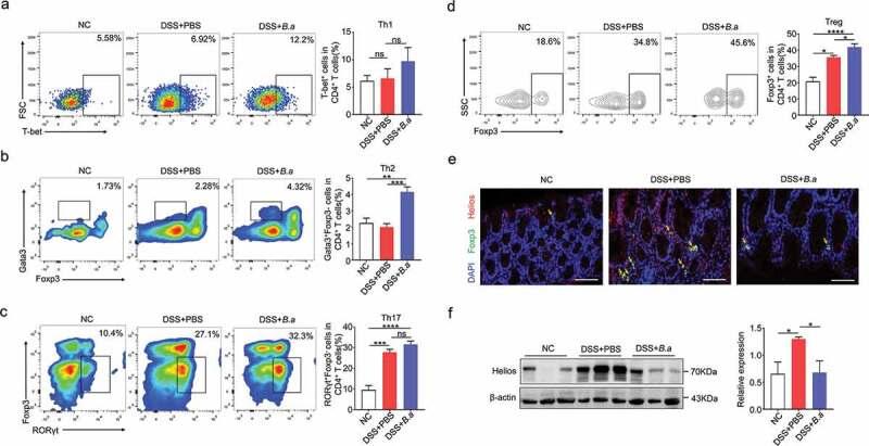 https://cdn.ncbi.nlm.nih.gov/pmc/blobs/e3db/7889144/74f9c2dac5f4/KGMI_A_1826746_F0005_OC.jpg