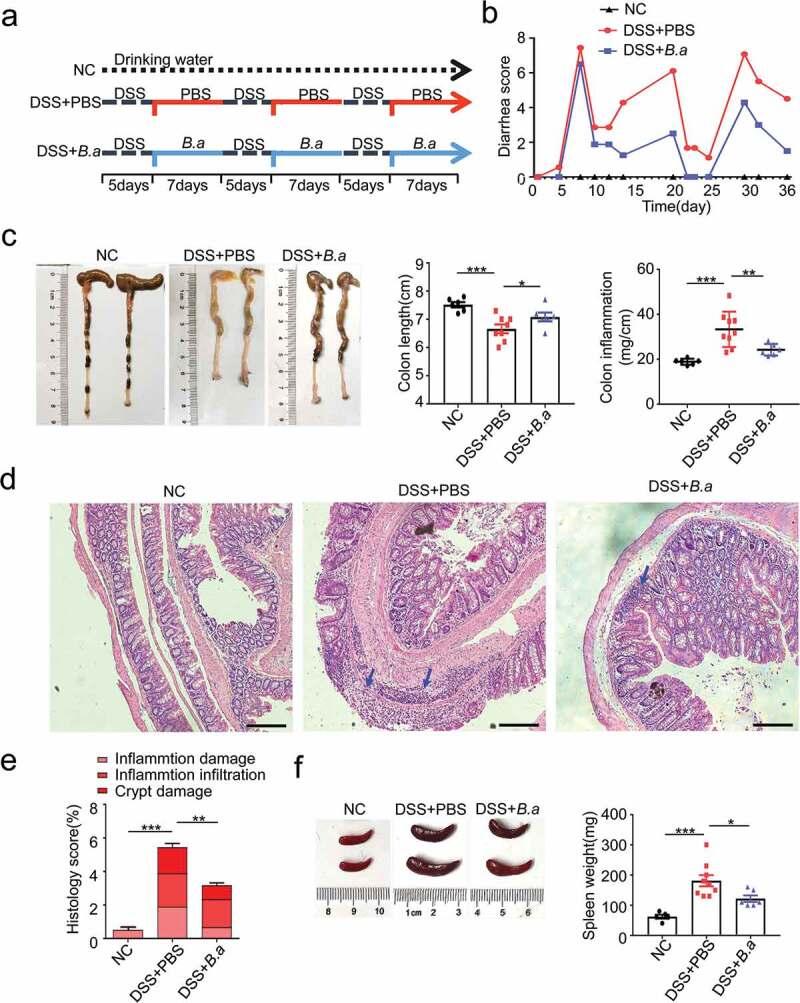 https://cdn.ncbi.nlm.nih.gov/pmc/blobs/e3db/7889144/8258d03d313a/KGMI_A_1826746_F0002_OC.jpg