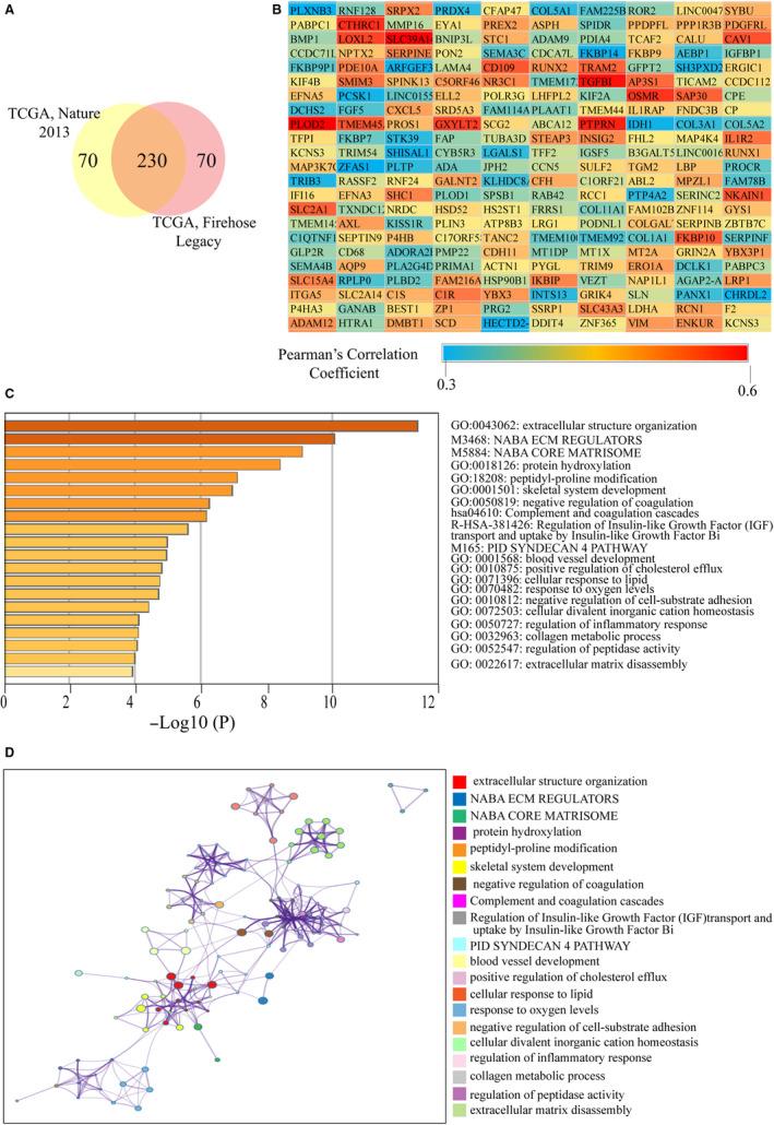 https://cdn.ncbi.nlm.nih.gov/pmc/blobs/e3dc/7666732/f3be44a1b46f/CAM4-9-8624-g006.jpg