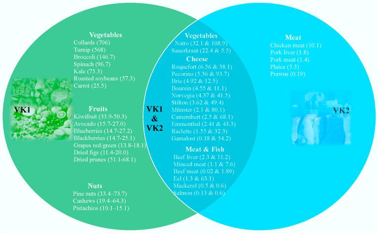 https://cdn.ncbi.nlm.nih.gov/pmc/blobs/e3dd/11172246/f480532c5923/foods-13-01646-g002.jpg