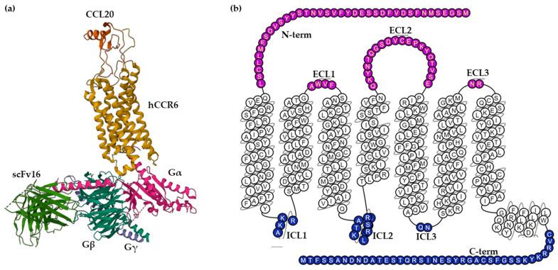 https://cdn.ncbi.nlm.nih.gov/pmc/blobs/e3e0/10123731/d66c7f30b064/antibodies-12-00030-g001.jpg
