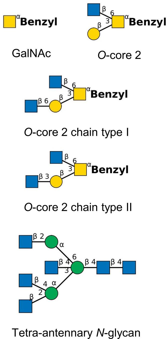 https://cdn.ncbi.nlm.nih.gov/pmc/blobs/e3e6/11374773/bd12f075b163/fcimb-14-1448104-g001.jpg
