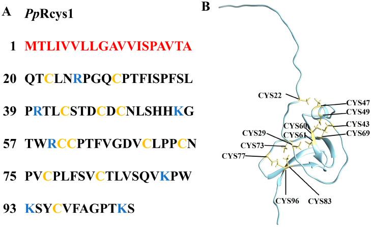 https://cdn.ncbi.nlm.nih.gov/pmc/blobs/e3e8/12195476/fd95fea54b1c/microorganisms-13-01381-g001.jpg