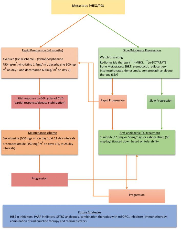 https://cdn.ncbi.nlm.nih.gov/pmc/blobs/e3e8/7456409/5b528d34be32/11864_2020_787_Fig3_HTML.jpg