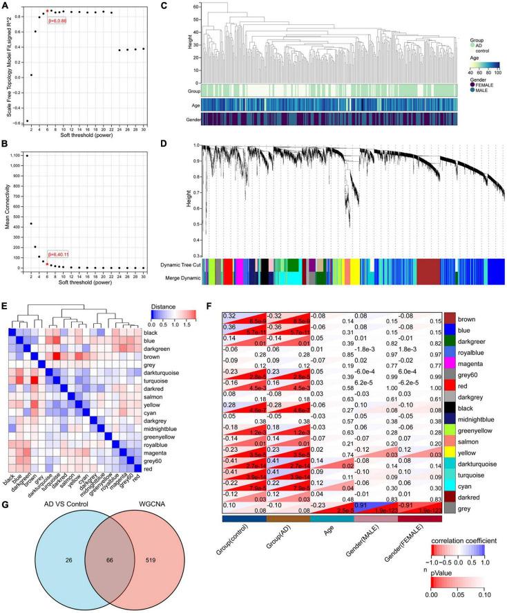 https://cdn.ncbi.nlm.nih.gov/pmc/blobs/e3e8/9808086/2985acb19b6d/fnins-16-1060111-g002.jpg