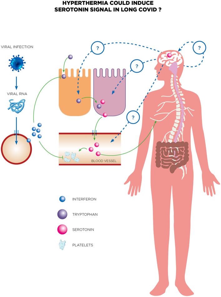 https://cdn.ncbi.nlm.nih.gov/pmc/blobs/e3e9/11832498/88bc2490f323/fnins-19-1475376-g0004.jpg