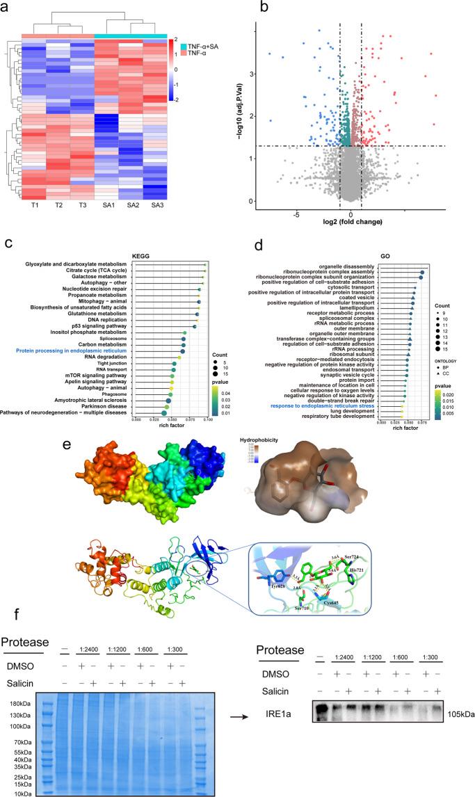 https://cdn.ncbi.nlm.nih.gov/pmc/blobs/e3ea/9722708/629759c80fe3/12276_2022_879_Fig4_HTML.jpg