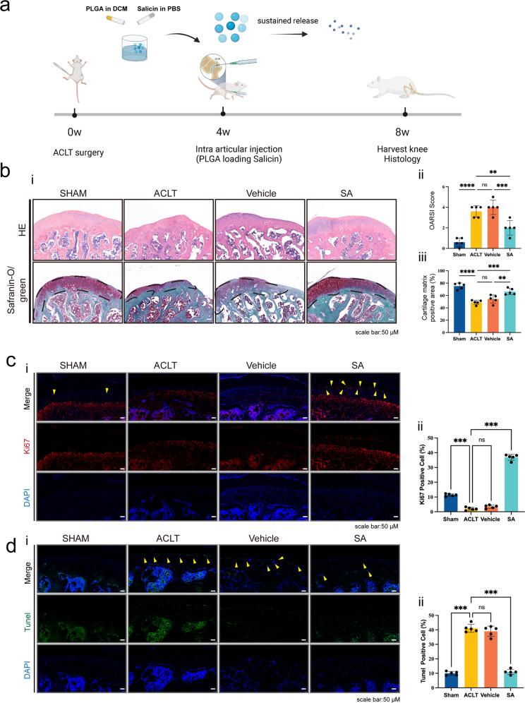 https://cdn.ncbi.nlm.nih.gov/pmc/blobs/e3ea/9722708/704f653903cc/12276_2022_879_Fig6_HTML.jpg