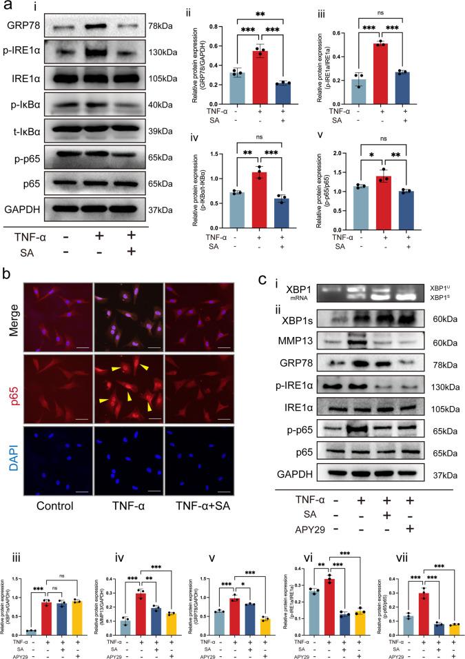 https://cdn.ncbi.nlm.nih.gov/pmc/blobs/e3ea/9722708/9c39f9c9df17/12276_2022_879_Fig5_HTML.jpg
