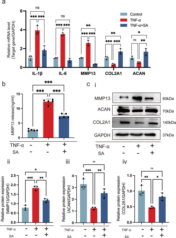 https://cdn.ncbi.nlm.nih.gov/pmc/blobs/e3ea/9722708/b3255f744e49/12276_2022_879_Fig2_HTML.jpg