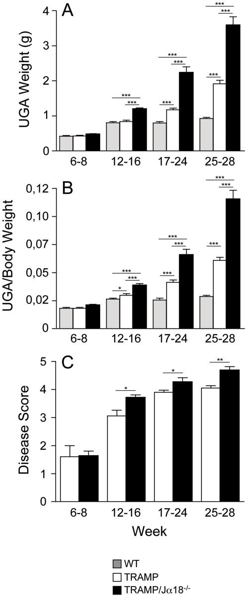 https://cdn.ncbi.nlm.nih.gov/pmc/blobs/e3ed/2800182/123ef53b8cb5/pone.0008646.g002.jpg