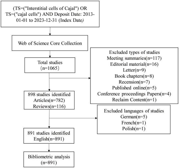 https://cdn.ncbi.nlm.nih.gov/pmc/blobs/e3ee/11145981/57ebf493cc54/fmed-11-1391545-g001.jpg
