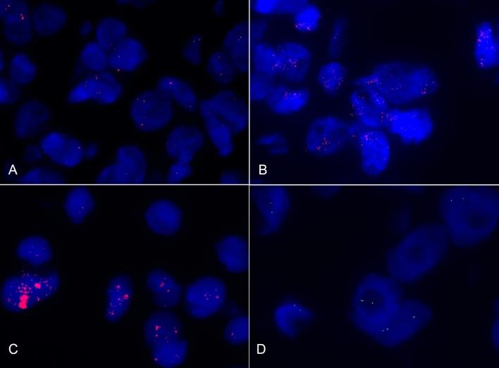 https://cdn.ncbi.nlm.nih.gov/pmc/blobs/e3f0/11189432/c20df5c9a8b2/41598_2024_64963_Fig1_HTML.jpg
