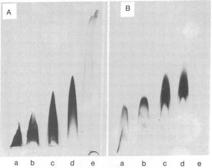 https://cdn.ncbi.nlm.nih.gov/pmc/blobs/e3f1/411754/0a39b171dc83/pnas00011-0467-b.jpg