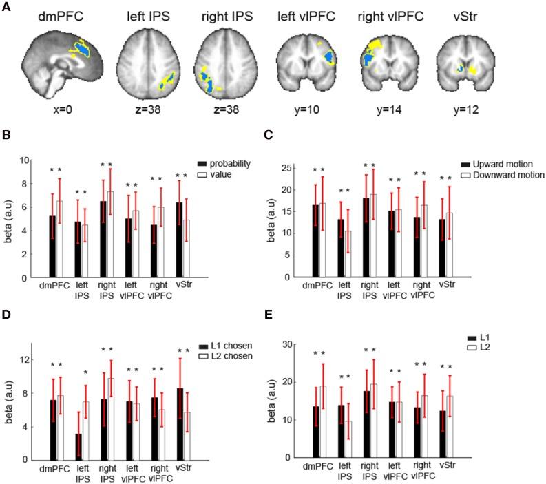 https://cdn.ncbi.nlm.nih.gov/pmc/blobs/e3f1/4558824/ee25c479040e/fnins-09-00314-g0005.jpg