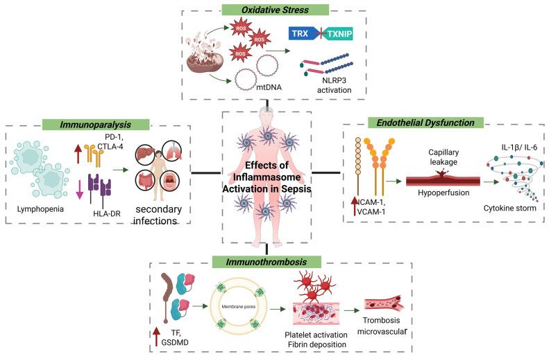 https://cdn.ncbi.nlm.nih.gov/pmc/blobs/e3f3/12191029/8e8c09c837e1/cells-14-00930-g002.jpg