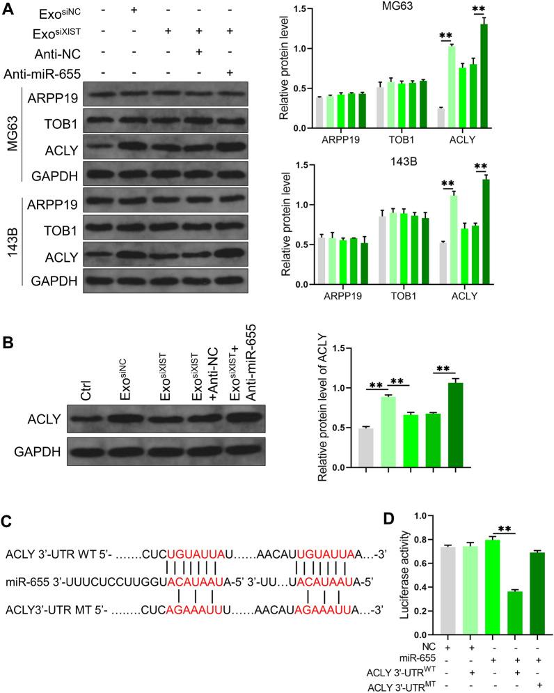 https://cdn.ncbi.nlm.nih.gov/pmc/blobs/e3f3/9617450/174f9f6453dd/12935_2022_2746_Fig6_HTML.jpg