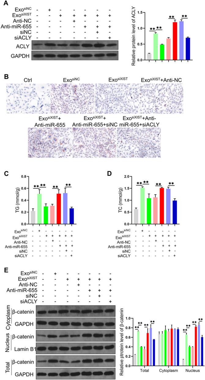 https://cdn.ncbi.nlm.nih.gov/pmc/blobs/e3f3/9617450/599f5b326c92/12935_2022_2746_Fig7_HTML.jpg