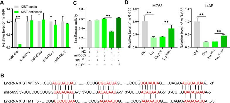 https://cdn.ncbi.nlm.nih.gov/pmc/blobs/e3f3/9617450/7ab54f90afa2/12935_2022_2746_Fig3_HTML.jpg