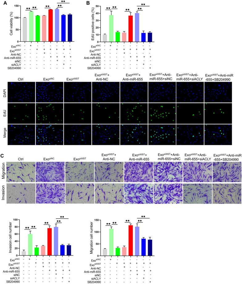 https://cdn.ncbi.nlm.nih.gov/pmc/blobs/e3f3/9617450/91562801490c/12935_2022_2746_Fig9_HTML.jpg