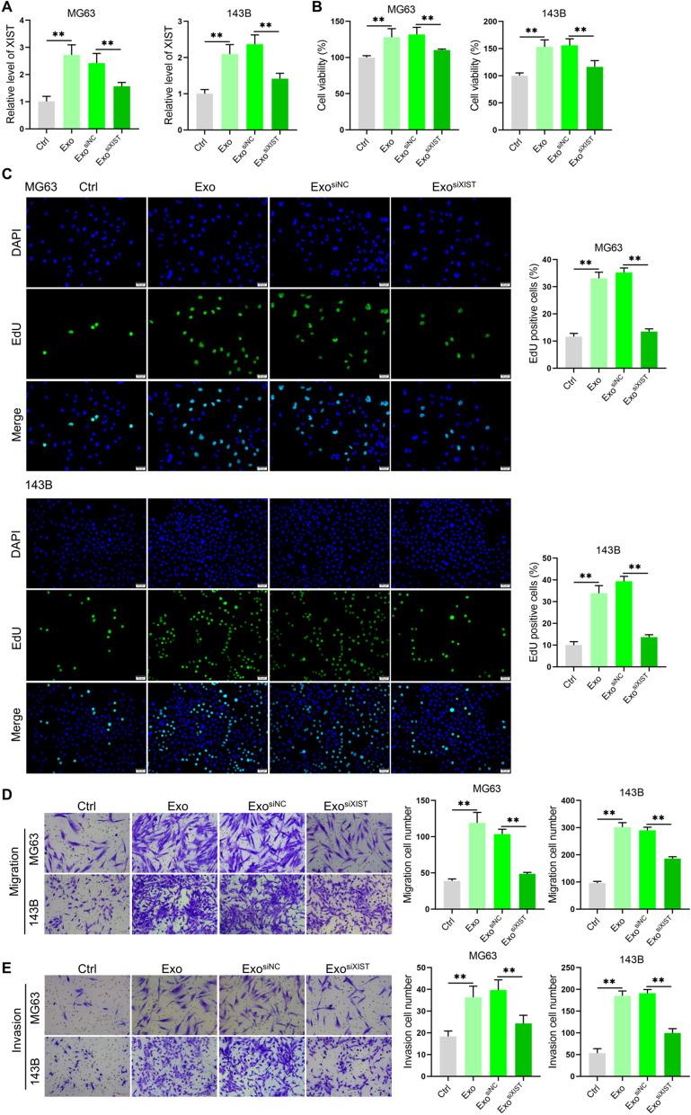 https://cdn.ncbi.nlm.nih.gov/pmc/blobs/e3f3/9617450/98dc8ade881a/12935_2022_2746_Fig2_HTML.jpg