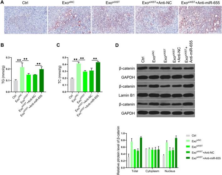 https://cdn.ncbi.nlm.nih.gov/pmc/blobs/e3f3/9617450/9a1c0936e3c4/12935_2022_2746_Fig8_HTML.jpg