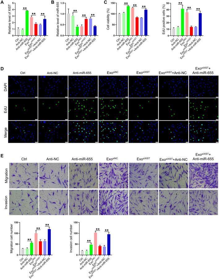 https://cdn.ncbi.nlm.nih.gov/pmc/blobs/e3f3/9617450/dc40b690c5d0/12935_2022_2746_Fig4_HTML.jpg