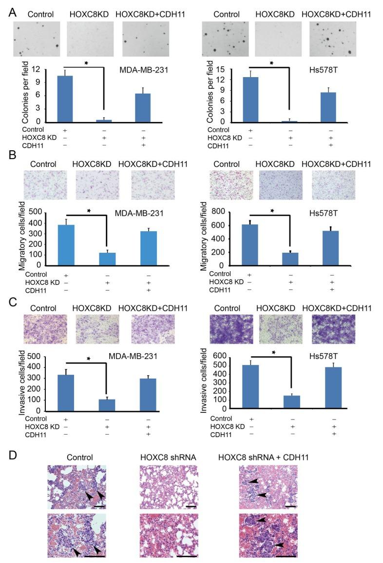 https://cdn.ncbi.nlm.nih.gov/pmc/blobs/e3f4/4058030/76feab8f6f6f/oncotarget-05-2596-g005.jpg