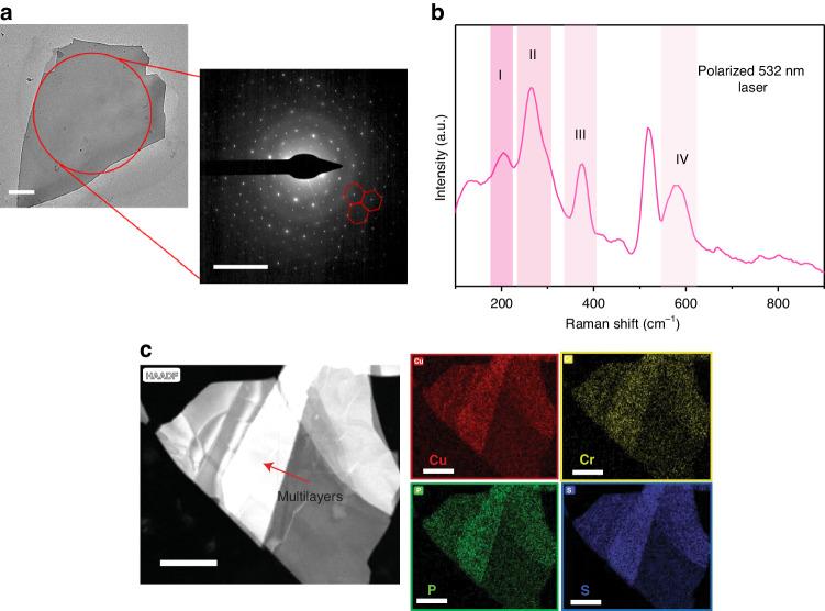 https://cdn.ncbi.nlm.nih.gov/pmc/blobs/e3f7/11031603/2071174b679f/41377_2024_1432_Fig2_HTML.jpg