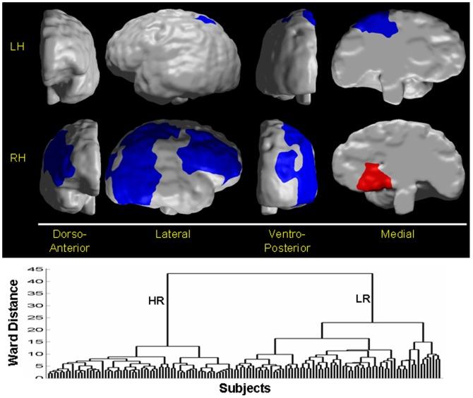 https://cdn.ncbi.nlm.nih.gov/pmc/blobs/e3f7/3517530/f3b1323a19cc/pone.0050698.g010.jpg