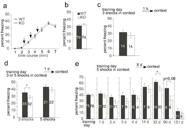 https://cdn.ncbi.nlm.nih.gov/pmc/blobs/e3f8/2663561/d5f642047d87/1756-6606-2-7-5.jpg