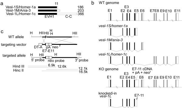 https://cdn.ncbi.nlm.nih.gov/pmc/blobs/e3f8/2663561/de238ef3dad7/1756-6606-2-7-1.jpg