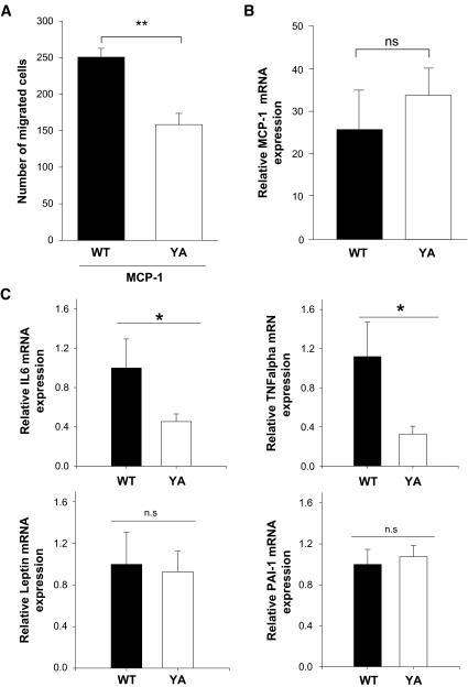 https://cdn.ncbi.nlm.nih.gov/pmc/blobs/e3fa/2453617/30b448f8ba6a/zdb0070853430005.jpg