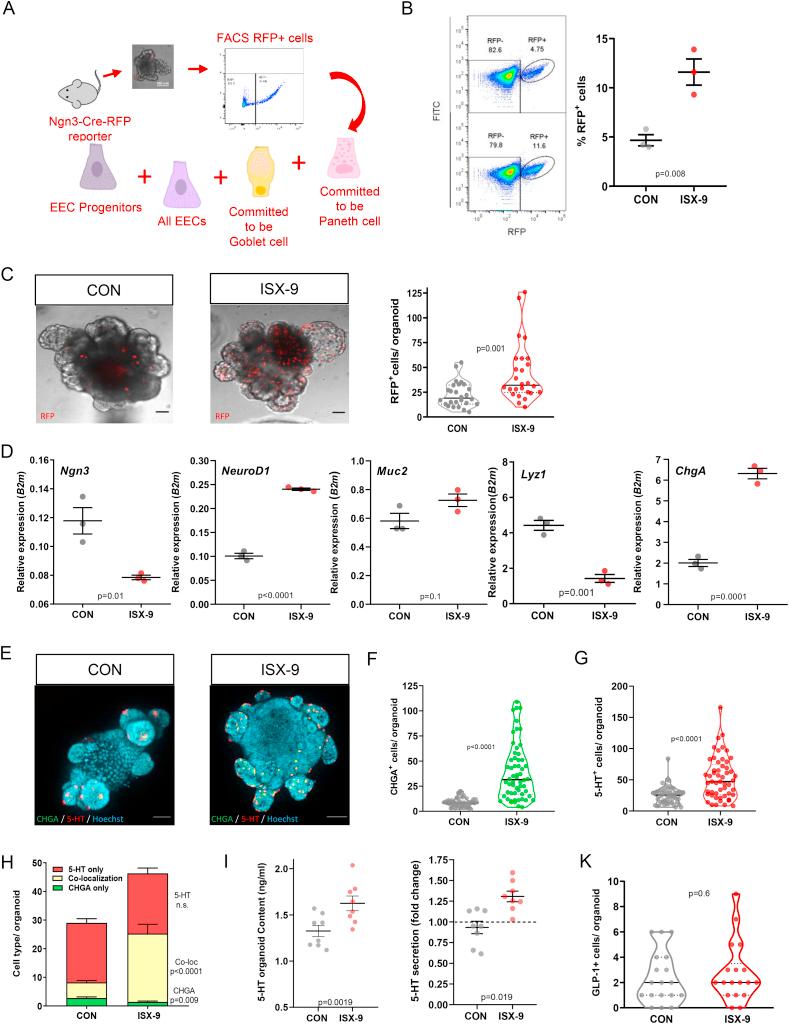 https://cdn.ncbi.nlm.nih.gov/pmc/blobs/e3fa/7036449/79cbd7e69544/gr4.jpg