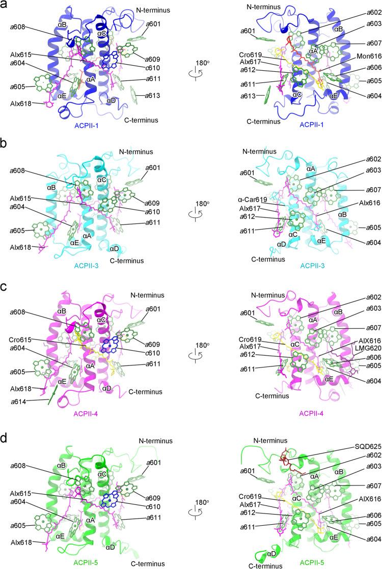 https://cdn.ncbi.nlm.nih.gov/pmc/blobs/e3fb/11133340/4d7326fc0678/41467_2024_48878_Fig3_HTML.jpg