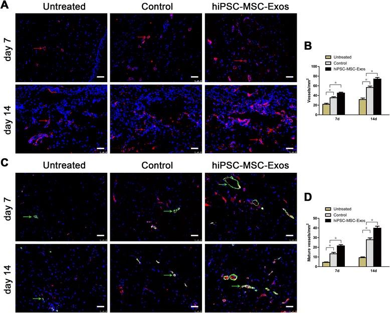 https://cdn.ncbi.nlm.nih.gov/pmc/blobs/e3fd/4371881/3c07c9d6b510/12967_2015_417_Fig4_HTML.jpg