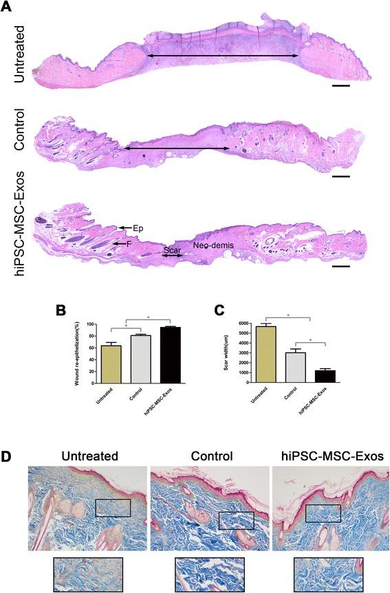 https://cdn.ncbi.nlm.nih.gov/pmc/blobs/e3fd/4371881/b1d87ea69794/12967_2015_417_Fig3_HTML.jpg