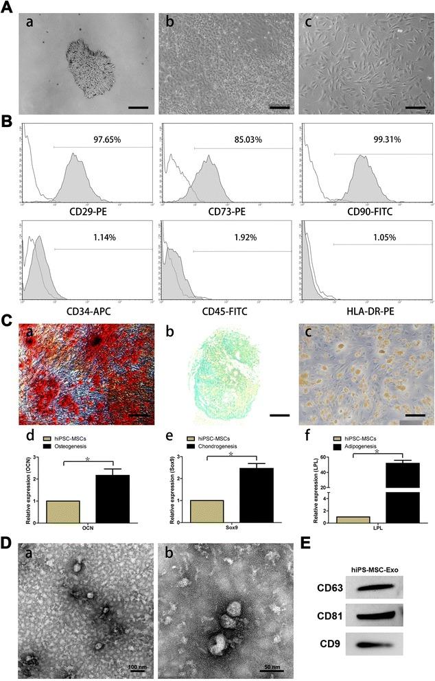https://cdn.ncbi.nlm.nih.gov/pmc/blobs/e3fd/4371881/e3204b09ecc1/12967_2015_417_Fig1_HTML.jpg