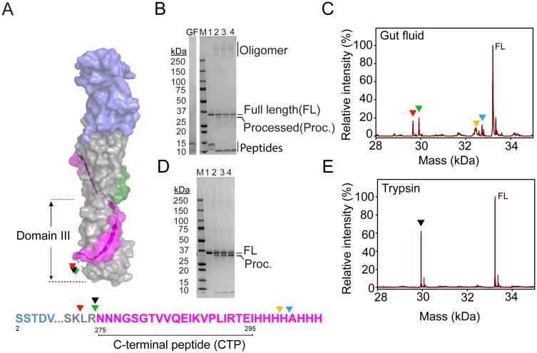https://cdn.ncbi.nlm.nih.gov/pmc/blobs/e401/8504720/4d45767eaba7/pone.0258052.g007.jpg