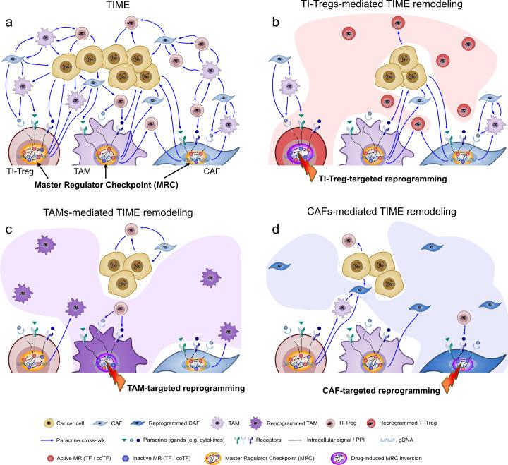 https://cdn.ncbi.nlm.nih.gov/pmc/blobs/e403/12198795/ae50ad1448b9/jitc-13-6-g002.jpg