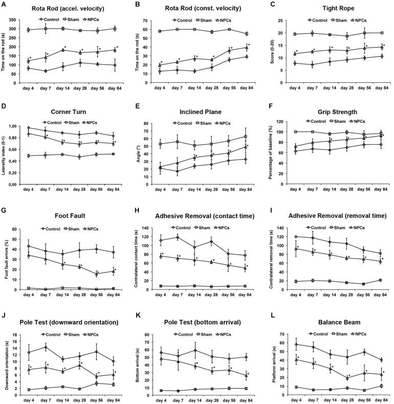 https://cdn.ncbi.nlm.nih.gov/pmc/blobs/e404/4205824/8b2dc45bc62d/fncel-08-00338-g0005.jpg