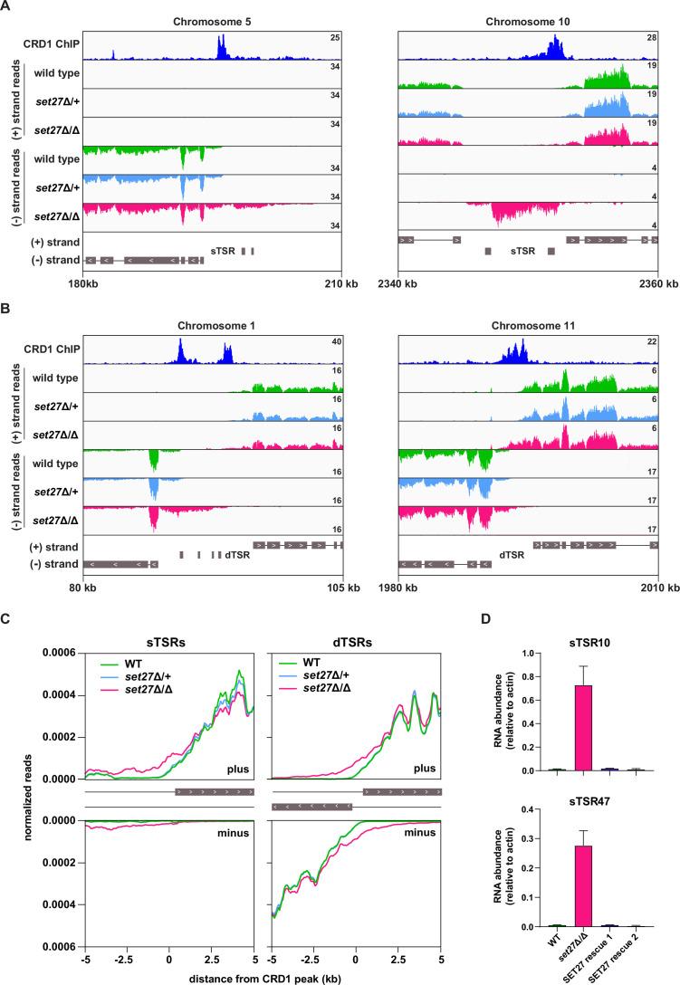 https://cdn.ncbi.nlm.nih.gov/pmc/blobs/e407/9566855/42924a659baf/elife-83135-fig4.jpg