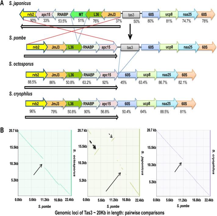 https://cdn.ncbi.nlm.nih.gov/pmc/blobs/e408/5391189/8d8684d18fe9/1132fig1.jpg